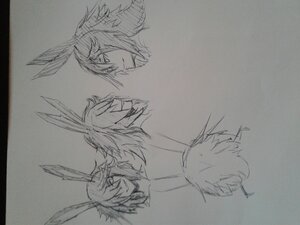 Rating: Safe Score: 0 Tags: damagefloor tagme xenofantasy User: abarax Rating: Safe Score: 0 Tags: damagefloor tagme xenofantasy User: abarax